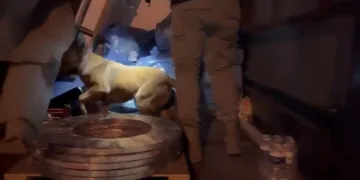 Öldürülen oğlunun doğum gününü mezarı başında kutladı