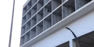 Tırın çarptığı traktör ikiye bölündü, sürücüsü yaralı kurtuldu