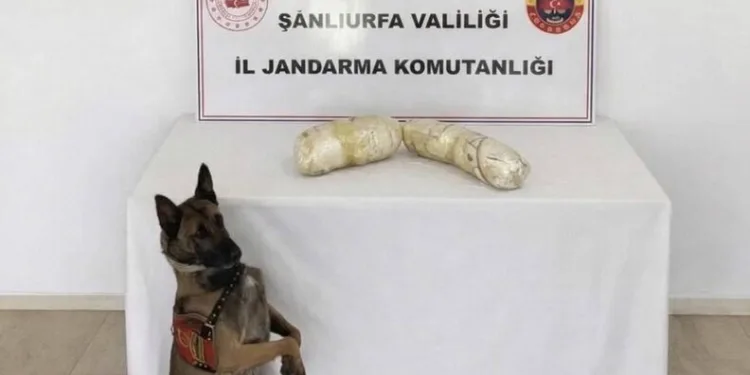 Tırın çarptığı traktör ikiye bölündü, sürücüsü yaralı kurtuldu
