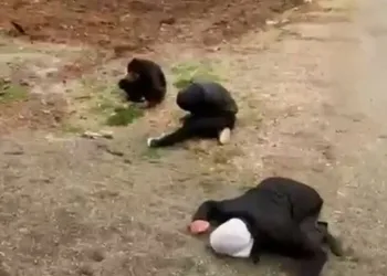 Hakkari’de sağlık camiasını yasa boğan ölüm