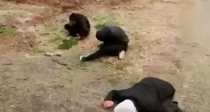 Hakkari’de sağlık camiasını yasa boğan ölüm