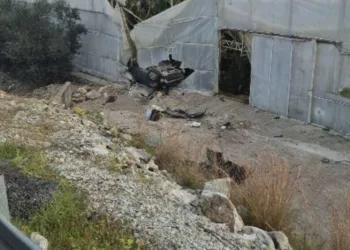 Niğde’de uyuşturucu operasyonu: 7 şüpheli yakalandı