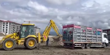 Otomobil demir bariyere ok gibi saplandı: Karı koca ölümden döndü