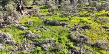Yaralı sürücü ambulansa binmeyi reddetti, hastaneye taksiyle gitti