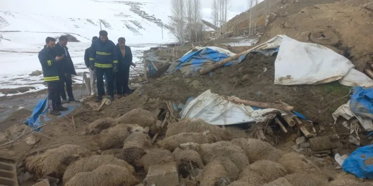 Tekirdağ’da gıda denetimleri aralıksız sürüyor