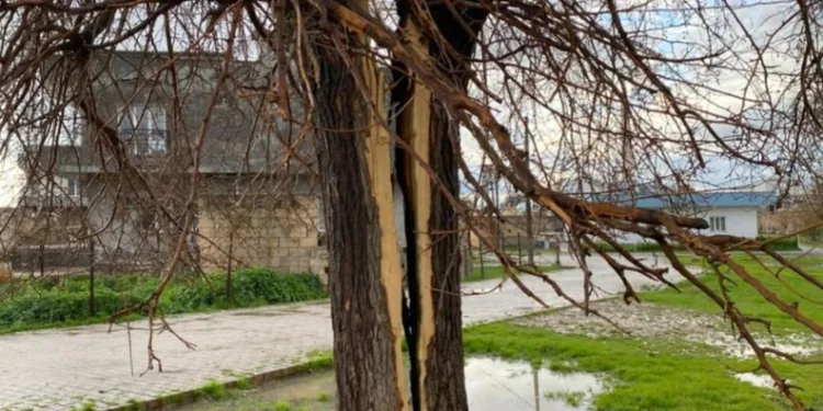 Tekirdağ’da gıda denetimleri aralıksız sürüyor