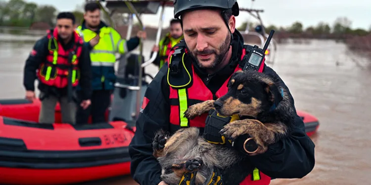 Sular altında kalan bağ evinde mahsur kalan iki köpeği belediye ekipleri kurtardı