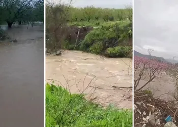Bursa’da tarım arazileri sular altında kaldı