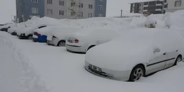 Bitlis’te mart karı 288 köy yolu ulaşıma kapattı