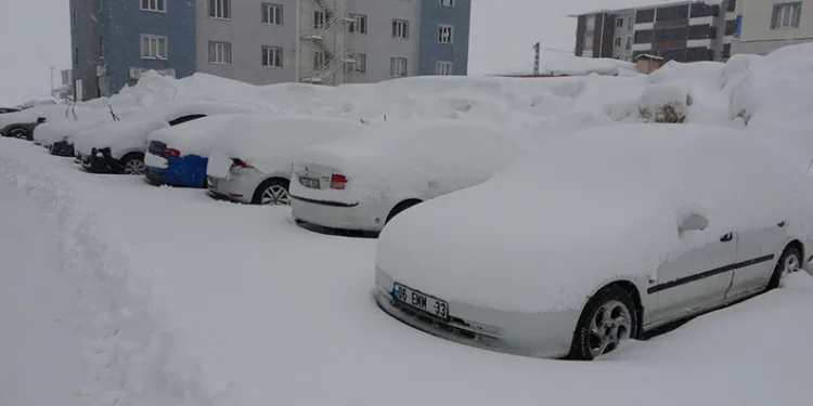 Bitlis’te mart karı 288 köy yolu ulaşıma kapattı
