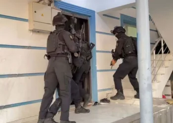 22 ilde dolandırıcılık operasyonu
