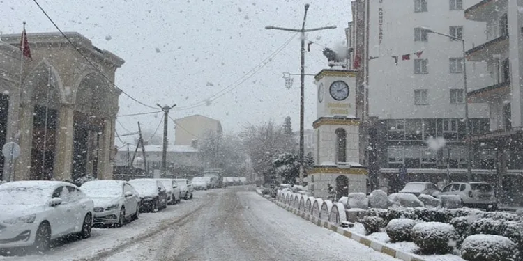 Mazıdağı’nda mart ayında kar yağışı etkili oldu