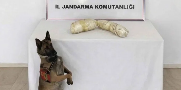 Şanlıurfa’da 2 kilogram uyuşturucu ele geçirildi: 2 gözaltı