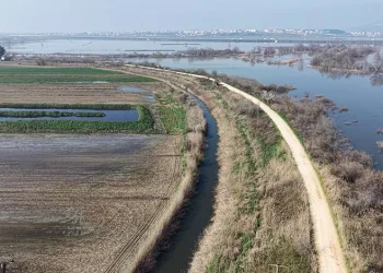 Karacabey çiftçisi suların çekilmesini bekliyor