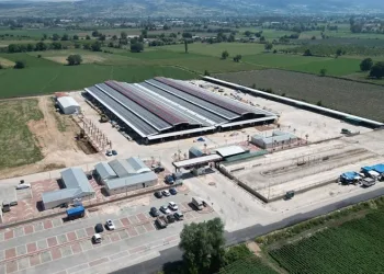 İnegöl Belediyesi hayvan pazarının kotra ihale tarihi belli oldu