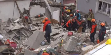 Fatih’te çöken binada enkaz altında kalanları kurtarma çalışmasına köpeklerde katıldı