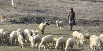 Bursa’da bıçaklanarak öldürülen kadının görüntüleri ortaya çıktı