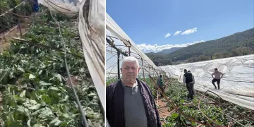 Kumluca’da hortum seraları vurdu, 10 dönüm alan zarar gördü
