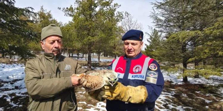Yaralı Şahin’e Jandarma ekiplerinden yardım eli