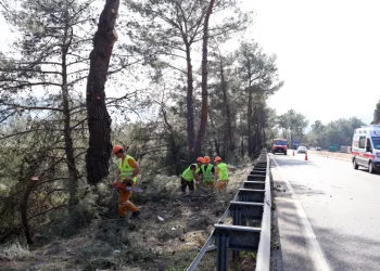 Muğla’da yangın sezonu öncesi Sakar Geçidi’nde riskli dallar temizleniyor