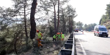 Muğla’da yangın sezonu öncesi Sakar Geçidi’nde riskli dallar temizleniyor