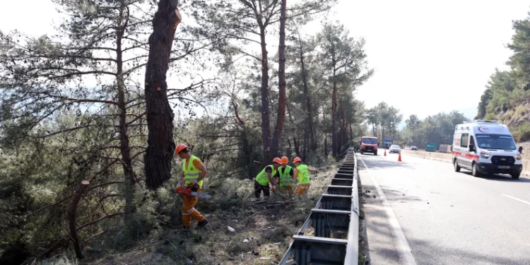 Muğla’da yangın sezonu öncesi Sakar Geçidi’nde riskli dallar temizleniyor