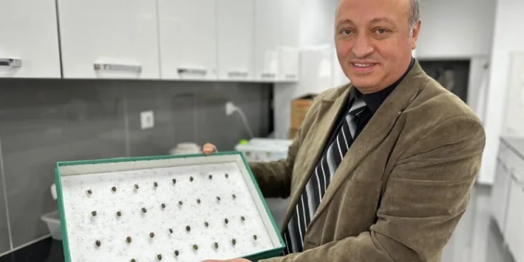 Böcekler cinayetlerin sırrını çözüyor