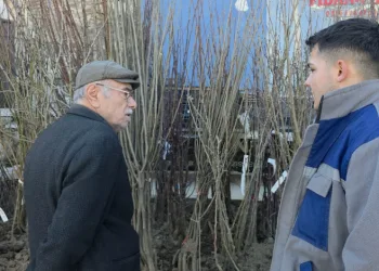 Kütahya’da fidan satışlarına ilgi
