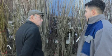 Kütahya’da fidan satışlarına ilgi