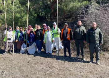 Sinop ormanlarında zararlılara karşı biyolojik savaş