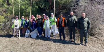 Sinop ormanlarında zararlılara karşı biyolojik savaş