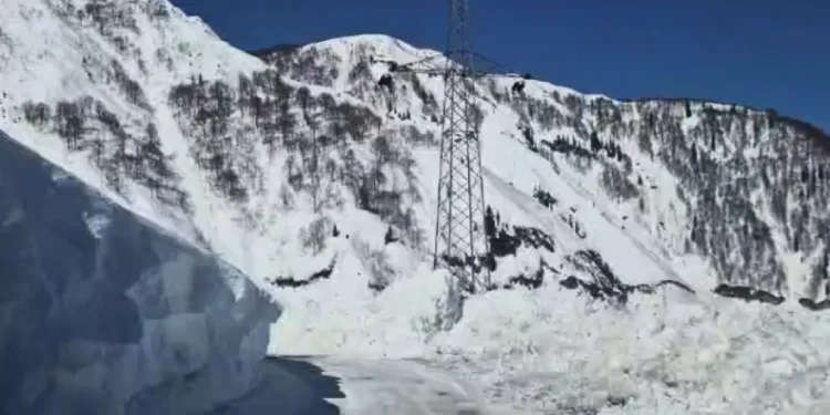 Artvin’de Macahel geçidi yeniden ulaşıma açıldı
