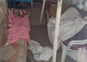 Ayıların Sis Dağı’ndaki yayla evlerine girme mesaisi yeniden başladı