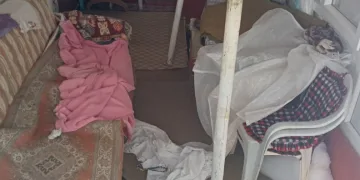 Ayıların Sis Dağı’ndaki yayla evlerine girme mesaisi yeniden başladı