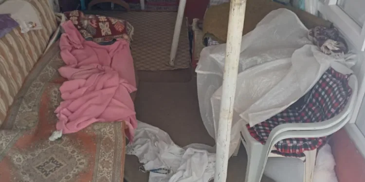 Ayıların Sis Dağı’ndaki yayla evlerine girme mesaisi yeniden başladı