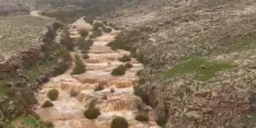 Yağışların ardından Emrud Şelalesinin debisi yükseldi