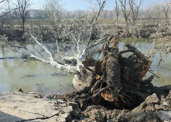 Tunca Nehri kıyısında toprak kayması: 9 yıl sonra gelen taşkınlar zemini etkiledi