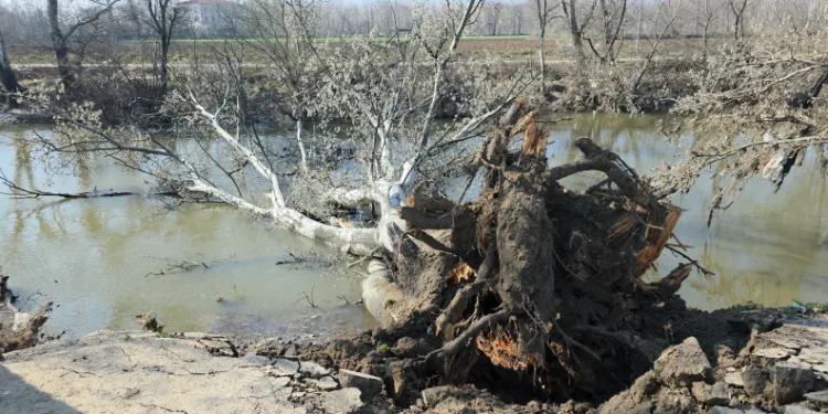 Tunca Nehri kıyısında toprak kayması: 9 yıl sonra gelen taşkınlar zemini etkiledi