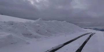 Kar yağışı Aşkale’de yeniden etkili oluyor