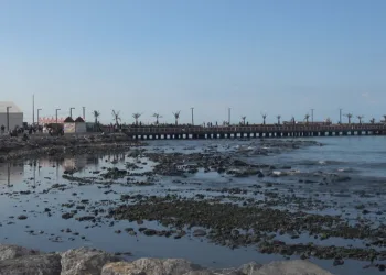 Kuvvetli fırtına sonrası İskenderun Körfezi’nde deniz suyu çekildi