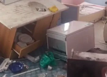 Trabzon’da yayla evine giren ayı ortalığı savaş alanına çevirmiş