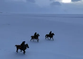 Gençler atları buz tutan Çıldır Göl’ü üzerinde dörtnala koştu