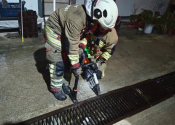Su giderine yavrulayan anne kedi ve yavrularını itfaiye kurtardı