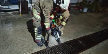 Su giderine yavrulayan anne kedi ve yavrularını itfaiye kurtardı