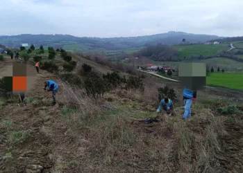 Sinop’ta yükümlülerden geleceğe nefes