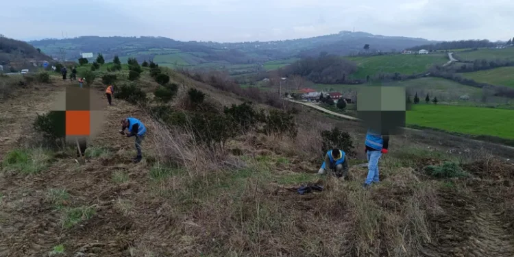 Sinop’ta yükümlülerden geleceğe nefes