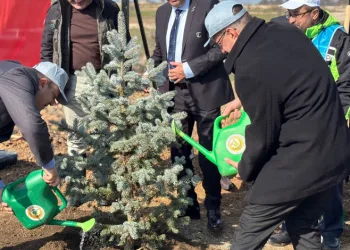 Kırklareli’nde 3 bin 750 fidan dikildi