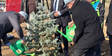 Kırklareli’nde 3 bin 750 fidan dikildi