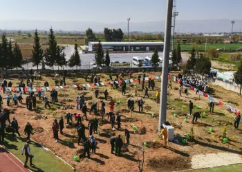 Aydın’da “Türkiye’nin Gücü Orman” programı gerçekleştirildi
