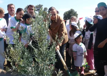 Burdur’da zeytin ve fıstıkçamı fidanları toprakla buluştu
